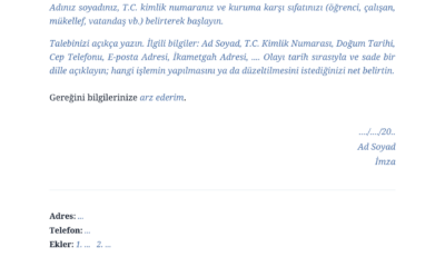 CİMER Şikayet Örnekleri ve Başvuru Rehberi
