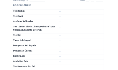 Tez Veri Giriş Formu Doldurma Rehberi