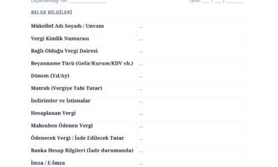 Vergi Beyannamesi Doldurma Rehberi