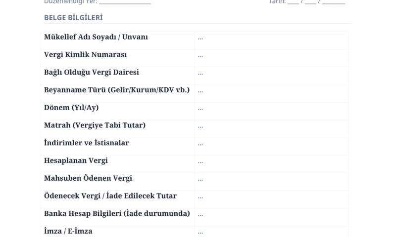 Vergi Beyannamesi Doldurma Rehberi